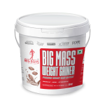 Big Mass Weight Gainer– Premium Formula for Muscle Size & Strength