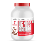 Big Boys Nutrition Big Mass Weight Gainer 2.7 KG – Premium Formula for Muscle Size & Strength